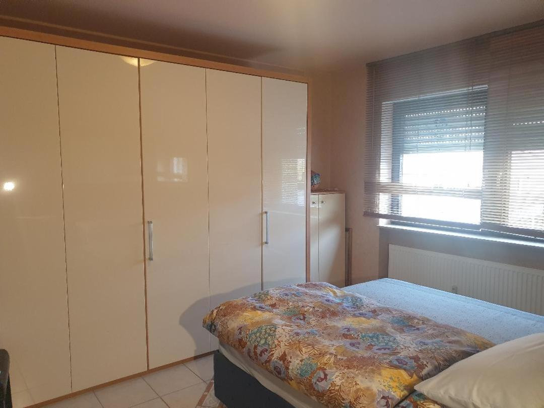 Rose'S Ferienwohnung Freigericht エクステリア 写真